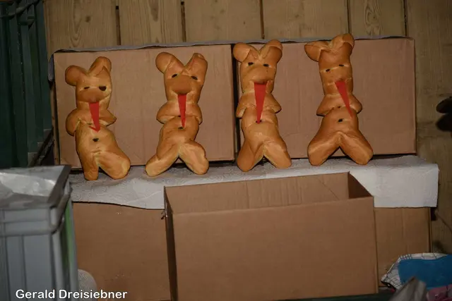 Foto: Gerald Dreisiebner