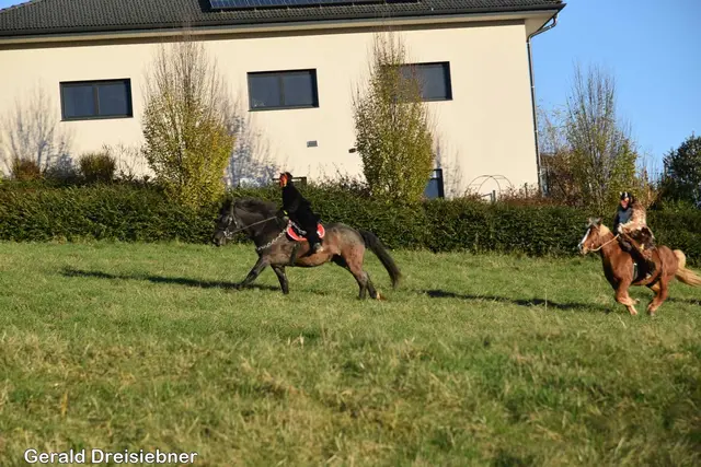 Foto: Gerald Dreisiebner