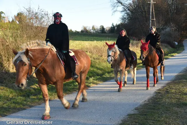 Foto: Gerald Dreisiebner