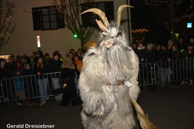 Foto: Gerald Dreisiebner