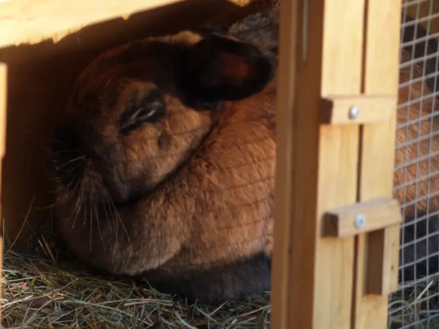 Foto: Vanessa Wittmann