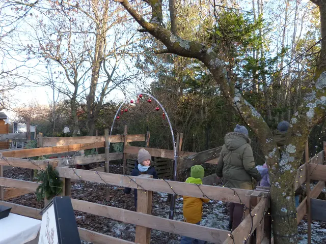 Foto: Vanessa Wittmann