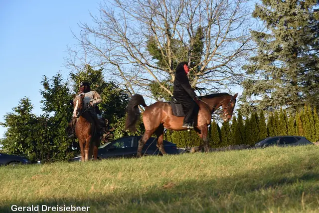 Foto: Gerald Dreisiebner