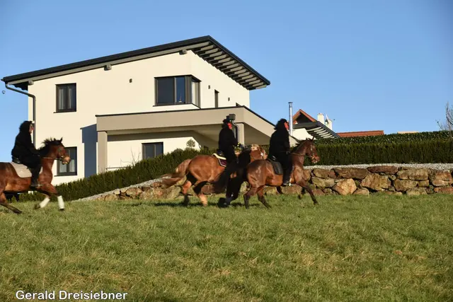 Foto: Gerald Dreisiebner