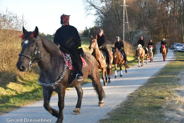 Foto: Gerald Dreisiebner