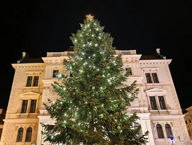 Der prächtige Christbaum am Tullner Hauptplatz. | Foto: Christian Nowotny