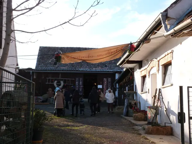 Foto: Vanessa Wittmann