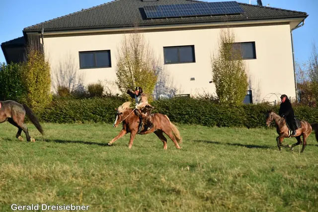 Foto: Gerald Dreisiebner