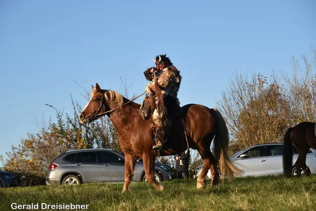 Foto: Gerald Dreisiebner