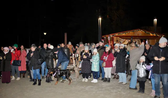 Foto: Trimmel, Zezula