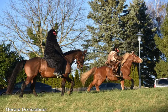 Foto: Gerald Dreisiebner