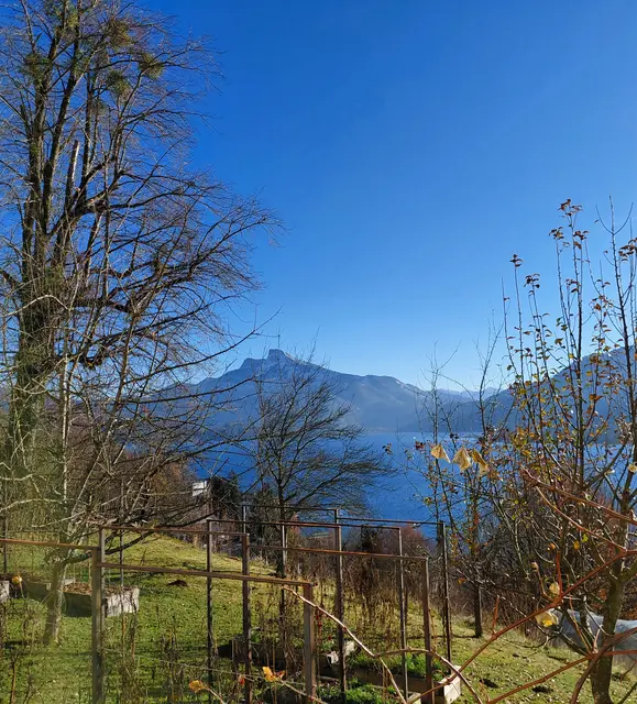 Aussicht auf Schafberg und Mondsee | Foto: H.Bachinger