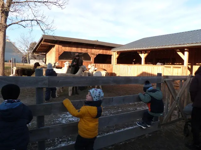 Foto: Vanessa Wittmann