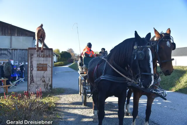 Foto: Gerald Dreisiebner