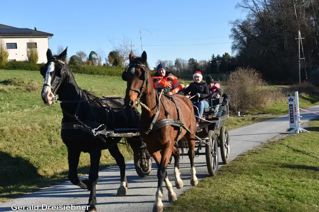 Foto: Gerald Dreisiebner