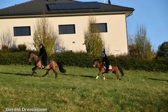 Foto: Gerald Dreisiebner