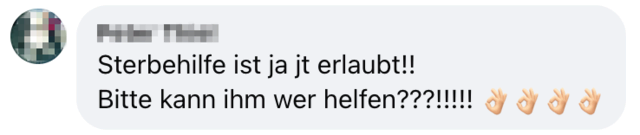 Posting eines Users auf der FB-Seite von Patrick Haselwanter | Foto: Bohrn Mena