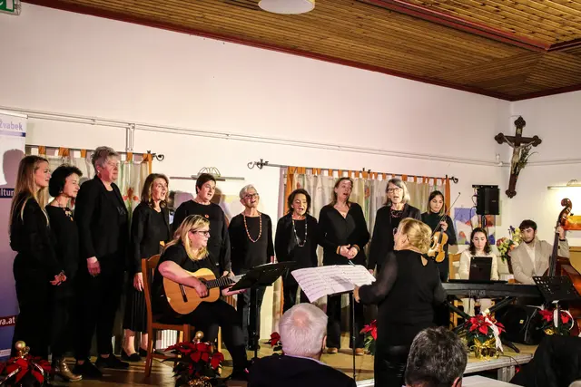 Die Gruppe Pevsko-instrumentalna-skupina aus Schwabegg | Foto: Rosina Katz-Logar