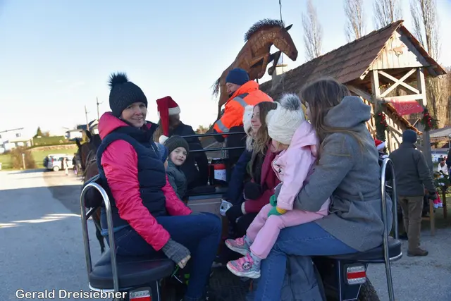 Foto: Gerald Dreisiebner