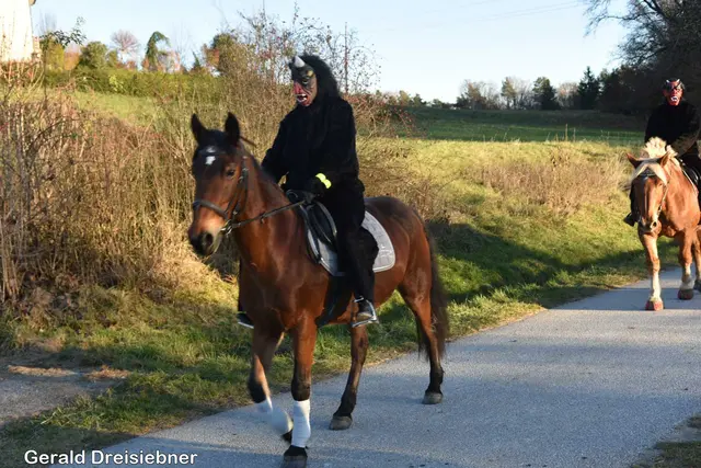 Foto: Gerald Dreisiebner