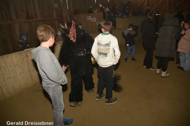 Foto: Gerald Dreisiebner