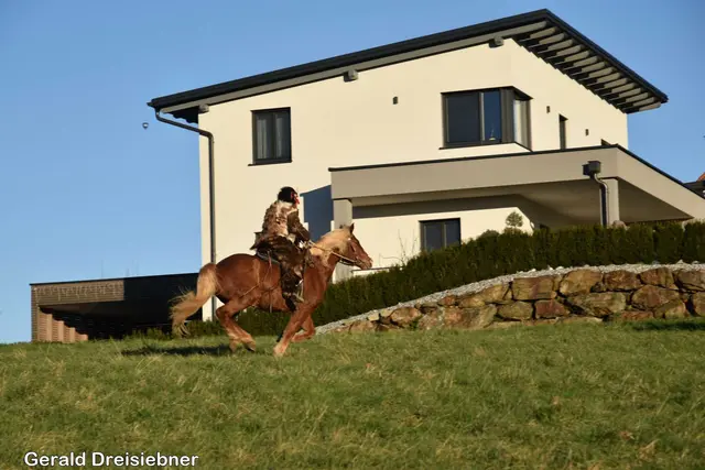 Foto: Gerald Dreisiebner