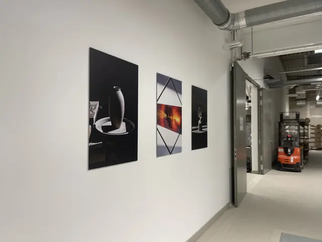 Foto: Vanessa Wittmann