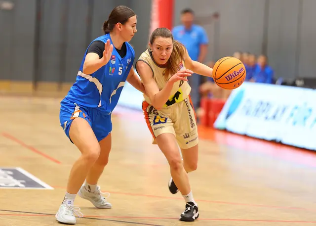 BK Raiffeisen Duchess feiern zu Hause einen Sieg über DBB Wels. | Foto: Basketball Austria/M. Filippovits