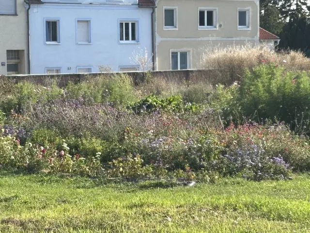 Das Blumenfeld wird von den Floristen angebaut, gepflegt und verwendet. | Foto: Alexandra Goll