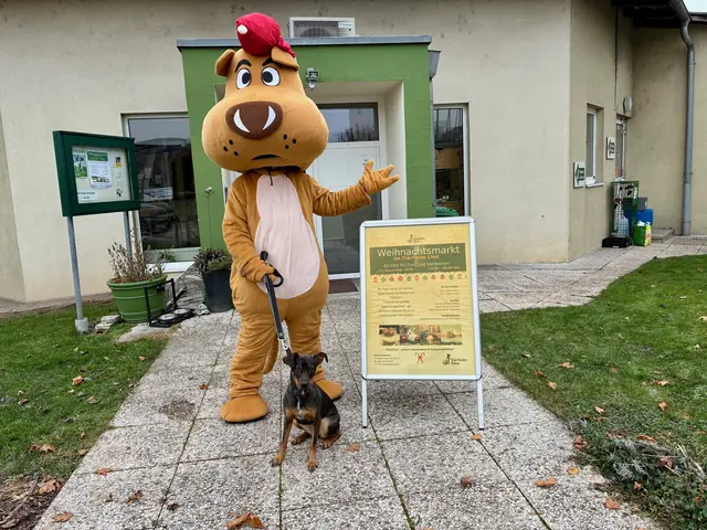 Am 13. Dezember steigt der Weihnachtsmarkt im Tierheim Linz.  | Foto: Tierheim Linz