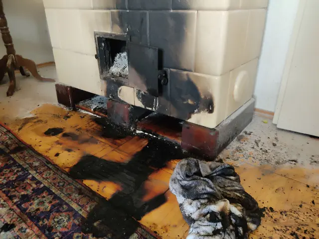 Montagvormittag wurde die Stadtfeuerwehr Pinkafeld zu einem „Kaminbrand“ in der Wienerstraße alarmiert. | Foto: Stadtfeuerwehr Pinkafeld