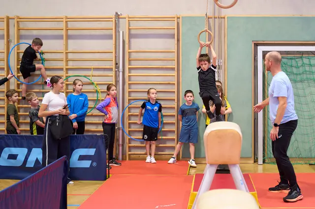 Über 150 Kinder der Volksschule Horn nutzten den Sport- und Bewegungstag des Elternvereins. | Foto: Reinhard Litschauer