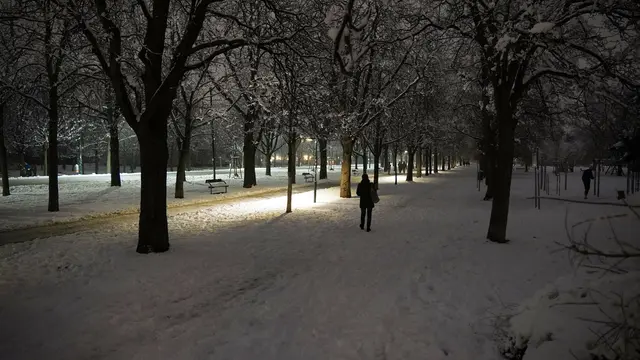 Neos lädt zur Nachtbegehung von der Venediger Au bis in die Prater Hauptallee. (Archiv) | Foto: Helmut Gring