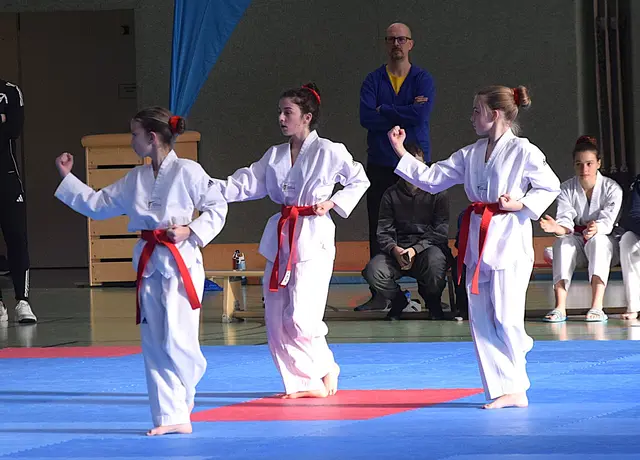 Tiroler Taekwondo Meisterschaften 2025 - Verschiedenste Leistungsklassen | Foto: Schwaighofer