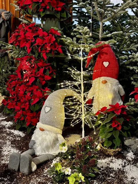 Foto: Barbara Schuster/MeinBezirk