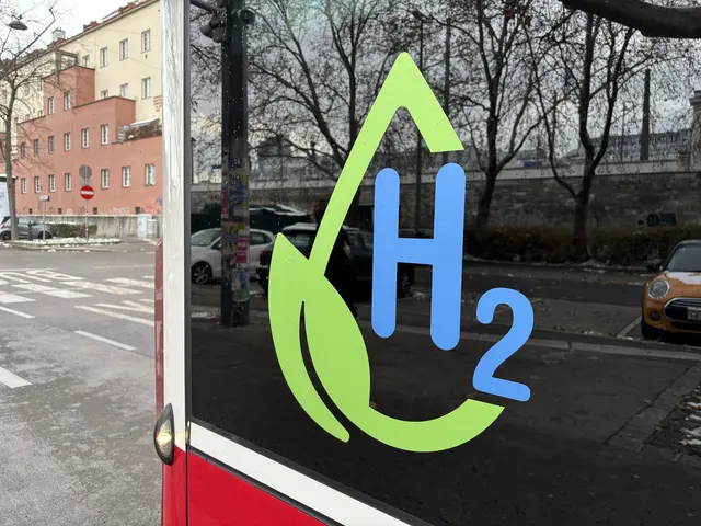 Foto: Andreas Pölzl/MeinBezirk