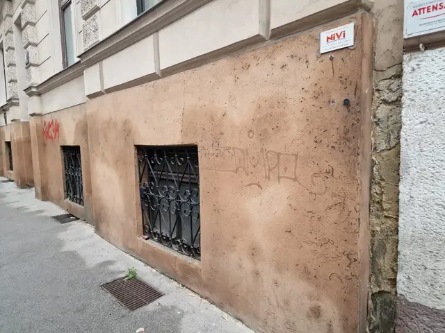 Die nassen Wände seien laut der MA 37 kein Grund zur Sorge.  | Foto: Barbara Kaiser