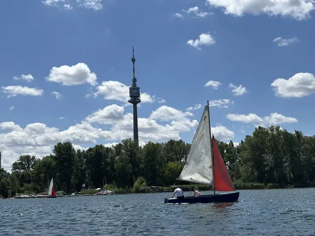 Ab 2026 gelten eine Meldepflicht, eine Größenbeschränkung und ein Tempolimit für Boote in der Alten Donau. | Foto: Antonio Šećerović/MeinBezirk