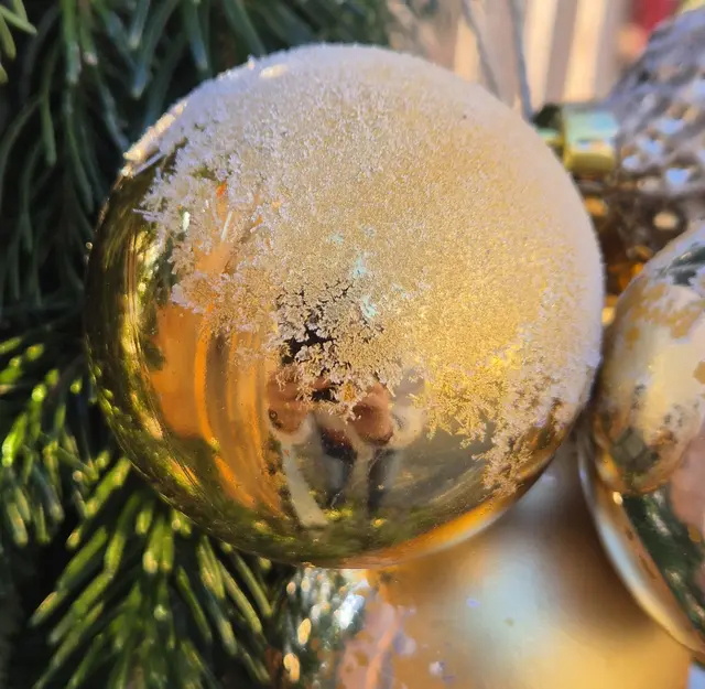 Der Christbaum im Galgenwald kann auch dieses Jahr wieder von allen Leuten geschmückt werden. | Foto: Mosbacher