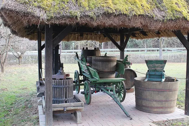 Als der alte Hundmüller mit seinem Fuhrwerk nach dem Gebetläuten noch unterwegs war, konnte er sicher sein, dass die Hexen sich von allen Seiten an ihn herandrängten.  | Foto: Pixabay