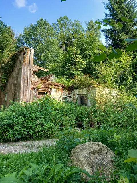 Reste des Glatzböckhäusl in Raffelsdorf 5, Kopfing: Hier wuchs Franz Wasners Vater, Johann Wasner, auf, bevor er Kopfing verließ und nach Vormoos zog. | Foto: Josef Wasner