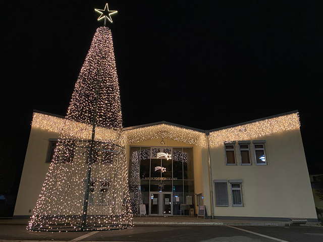 Blick auf den Christbaum aus Metall vor dem Gemeindeamt in Wagna | Foto: Gemeinde