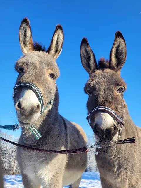 Foto: Katharina Grubauer