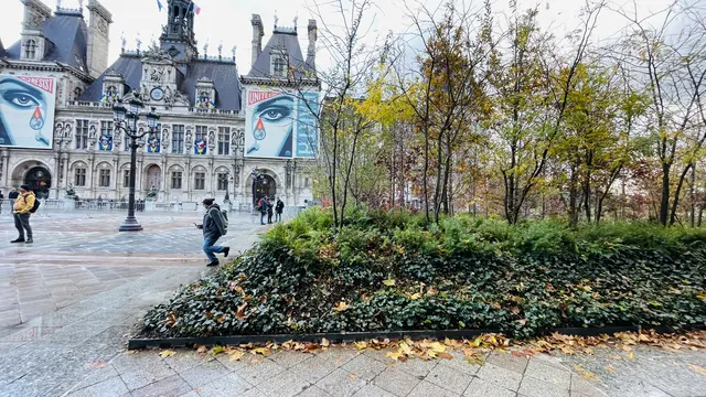 Der insgesamt 2.500 Quadratmeter große „Wald“ auf dem Pariser Rathausplatz soll im Sommer unter anderem für kühlere Luft sorgen. | Foto: MeinBezirk