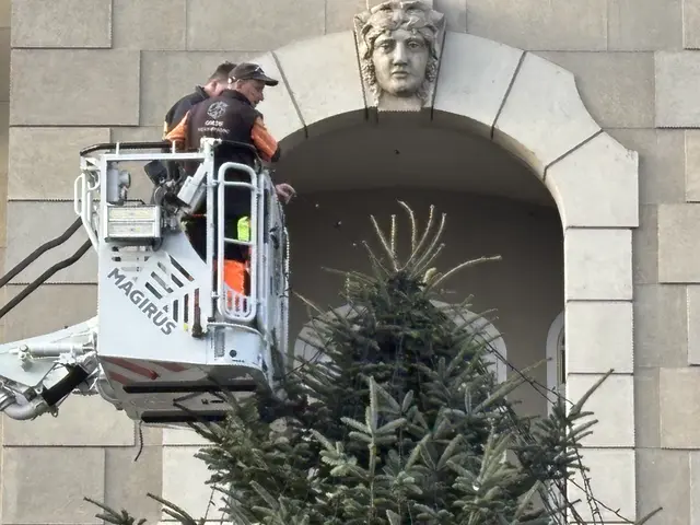 Foto: MeinBezirk/W. Fischer