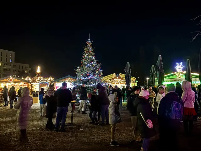 Der Weihnachtsmarkt samt Ausstellung in den Blumengärten Hirschstetten hat auch 2025 wieder jede Menge zu bieten. | Foto: Barbara Schuster/MeinBezirk