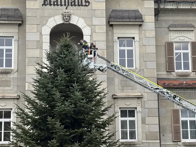 Foto: MeinBezirk/W. Fischer