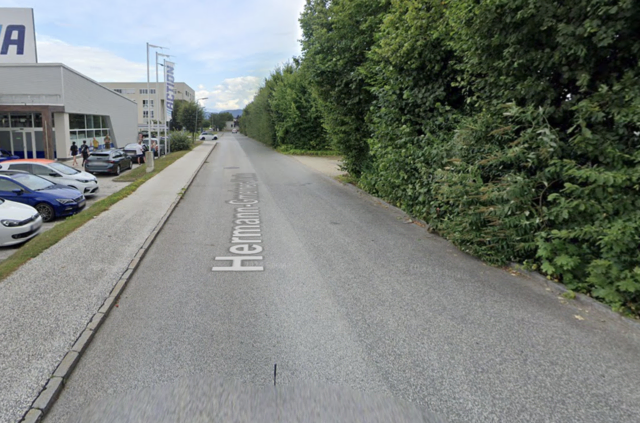 Die Hermann-Gmeiner-Straße neu benannt. | Foto: Google Street View