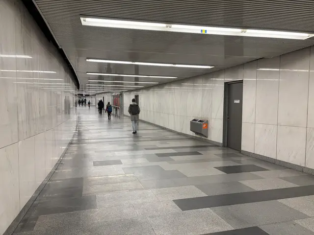 Einst schmückten in regelmäßigen Abständen Sterne die Opernpassage. Diese wurden jüngst entfernt. Damit ist die Musikmeile Wiens offiziell Geschichte. | Foto: Marlene Graupner/MeinBezirk