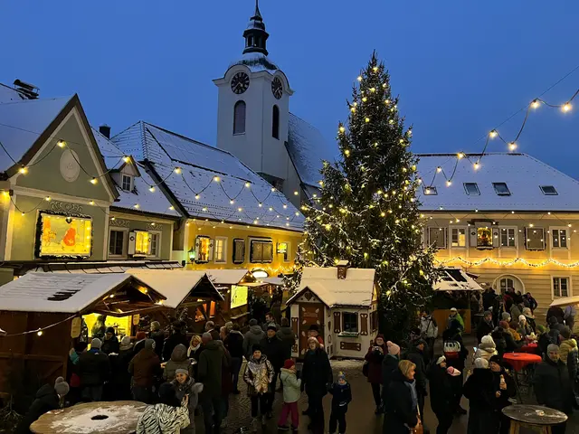 Jedes Jahr verwandelt sich Steinbach an der Steyr in ein idyllisches Adventkalenderdorf. | Foto: Gemeinde Steinbach an der Steyr